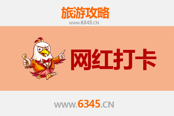 东方国营广坝农场：热带田园风光与网红打卡地全攻略